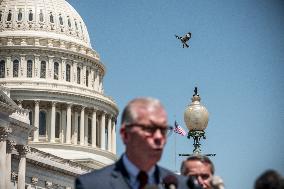 House Republican Israel Caucus - Washington