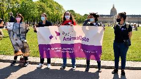 Stop animal testing Protest in Paris