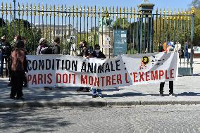 PAZ members protest in front of Jardin des Plantes - Paris