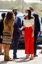 Queen Letizia At The 4th Congress About Strange Diseases - Murcia