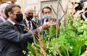 President Macron At Traditional Lily Of The Valley Ceremony - Paris