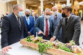 President Macron At Traditional Lily Of The Valley Ceremony - Paris