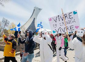 Thousands protest COVID-19 measures - Montreal