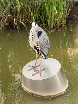 Heron Ash In Charles Trenet Park - Paris