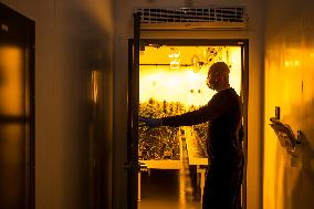 Cannabis-Farmgate - Canada