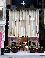 Angelina Paris And Longchamp On Fifth Avenue - NYC