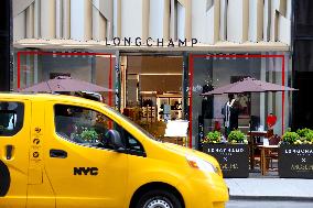 Angelina Paris And Longchamp On Fifth Avenue - NYC