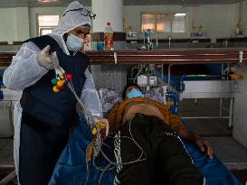 Covid Patients In Kashmir Hospital