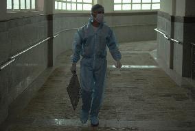 Covid Patients In Kashmir Hospital