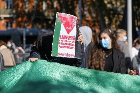 Pro-Palestinian Demonstration - Toulouse