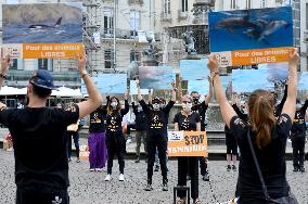 One Voice Protest For Closure Of Dolphinariums - Nantes