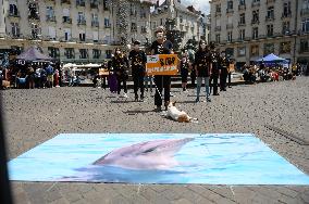 One Voice Protest For Closure Of Dolphinariums - Nantes