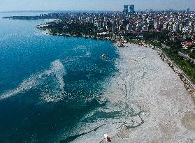 Massive Marine Mucilage Marmara Sea - Turkey