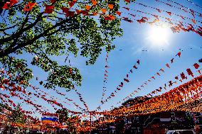 Streets decorated in The Hague for European Football Championship