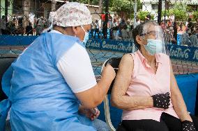 Mass Vaccination Program Against Covid-19 In Venezuela