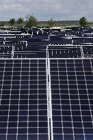 Total Quadran Photovoltaic Power Station - Bordeaux
