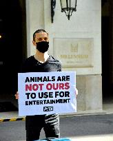 PETA protest in front of Millennium Resort Hotel - Paris