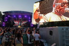 Amadou and Mariam - Rio Loco Festival - Toulouse