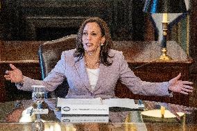 Vice President Kamala Harris Attends meeting with LGBTQ+ stakeholders