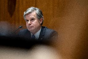 FBI Director Christopher Wray Hearing - Washington