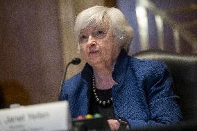 Treasury Secretary Janet Yellen Hearing - Washington