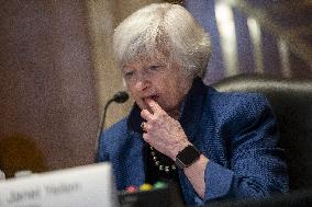 Treasury Secretary Janet Yellen Hearing - Washington