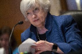 Treasury Secretary Janet Yellen Hearing - Washington