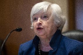 Treasury Secretary Janet Yellen Hearing - Washington