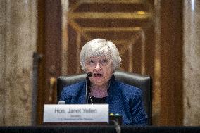 Treasury Secretary Janet Yellen Hearing - Washington