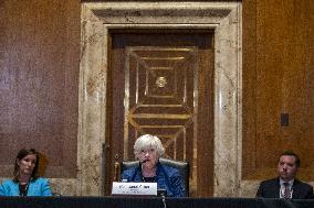 Treasury Secretary Janet Yellen Hearing - Washington