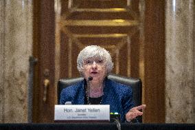 Treasury Secretary Janet Yellen Hearing - Washington