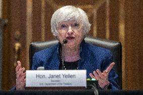 Treasury Secretary Janet Yellen Hearing - Washington