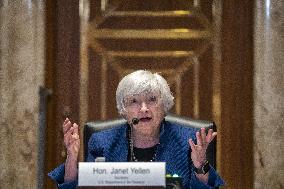 Treasury Secretary Janet Yellen Hearing - Washington