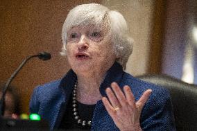 Treasury Secretary Janet Yellen Hearing - Washington