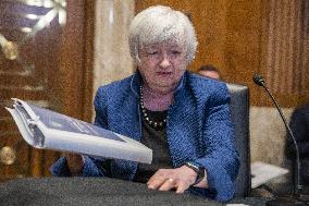 Treasury Secretary Janet Yellen Hearing - Washington