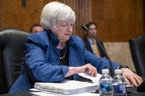 Treasury Secretary Janet Yellen Hearing - Washington