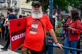 Pride Parade in Paris