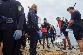 The garbage collectors of the sea - Algiers