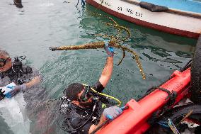 The garbage collectors of the sea - Algiers