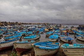 The garbage collectors of the sea - Algiers