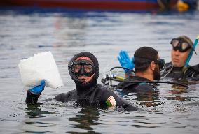 The garbage collectors of the sea - Algiers