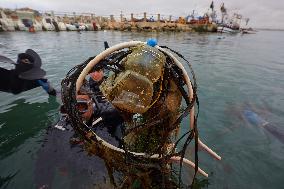 The garbage collectors of the sea - Algiers