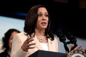 Kamala Harris on capital to small businesses - Washington