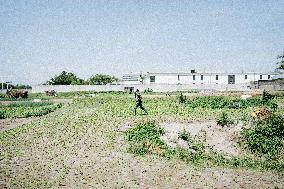 Laurent Gbagbo Returns To Ivory Coast - Abidjan