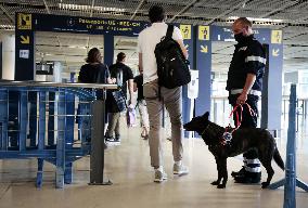 Sniffer dogs detect people infected with Covid 19 in Airport - Marseille