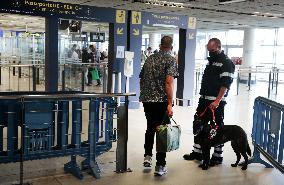 Sniffer dogs detect people infected with Covid 19 in Airport - Marseille