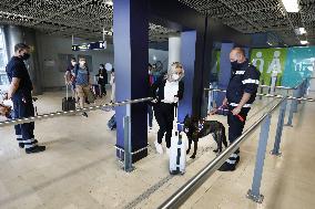 Sniffer dogs detect people infected with Covid 19 in Airport - Marseille