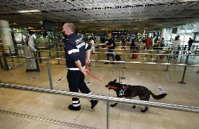 Sniffer dogs detect people infected with Covid 19 in Airport - Marseille