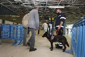 Sniffer dogs detect people infected with Covid 19 in Airport - Marseille