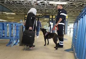 Sniffer dogs detect people infected with Covid 19 in Airport - Marseille